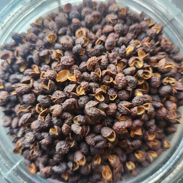 Timur Spice